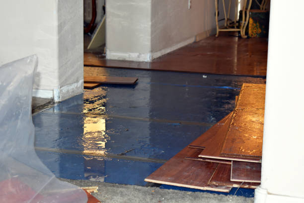 Professional Sewage Cleanup technician working in Byron Center, MI